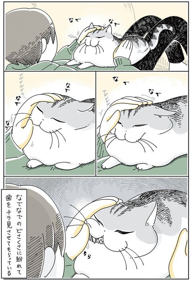 歯をチラ見させてもらっている （C）キュルZ／KADOKAWA