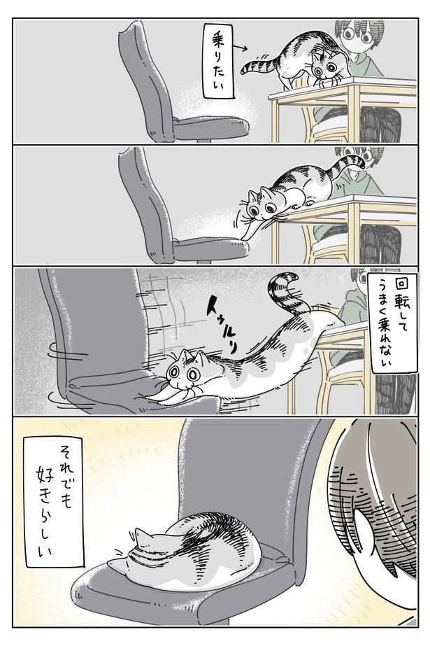 03 画像提供：キュルZ@kyuryuZ