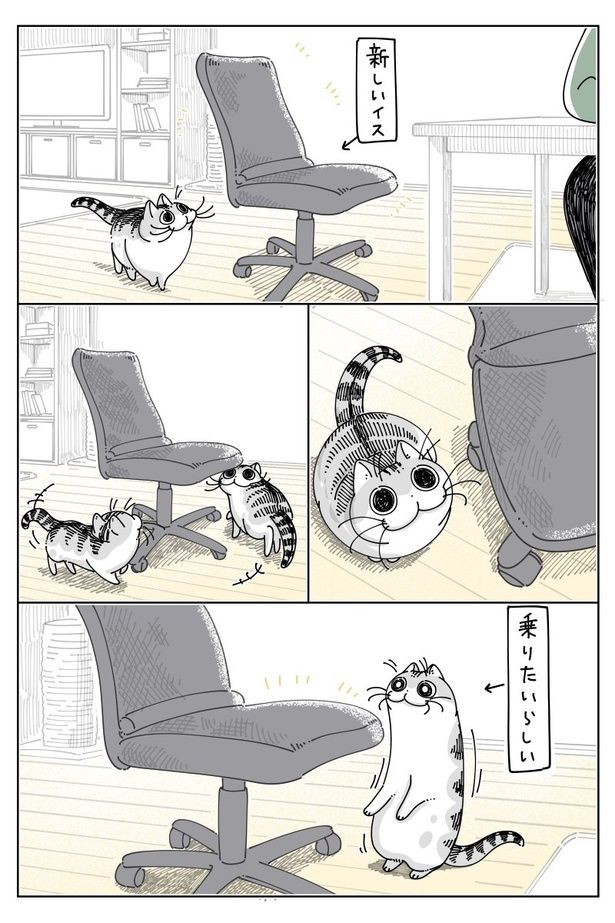 『新しい椅子』01 画像提供：キュルZ@kyuryuZ