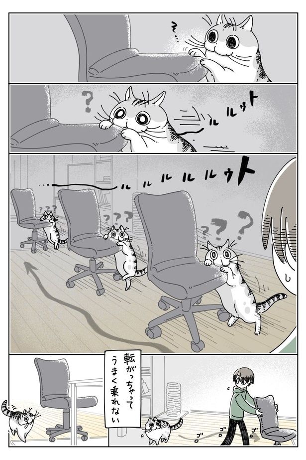02 画像提供：キュルZ@kyuryuZ