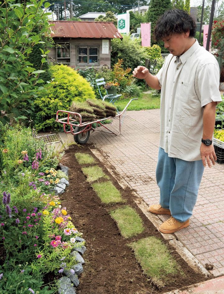 「だんだん芝生らしくなってきたね」