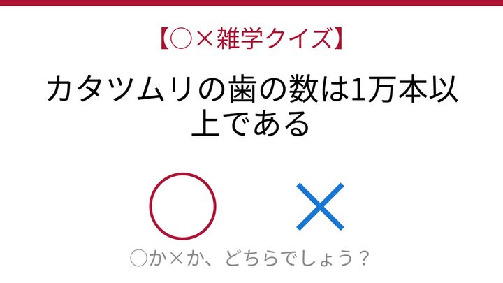 【○×雑学クイズ】これ本当？カタツムリの秘密兵器の問題画像