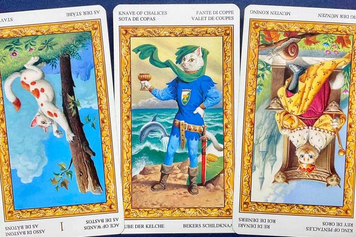 【牡牛座】2026年6月15日〜6月21日運勢