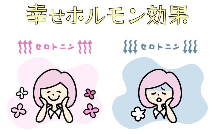 セロトニン