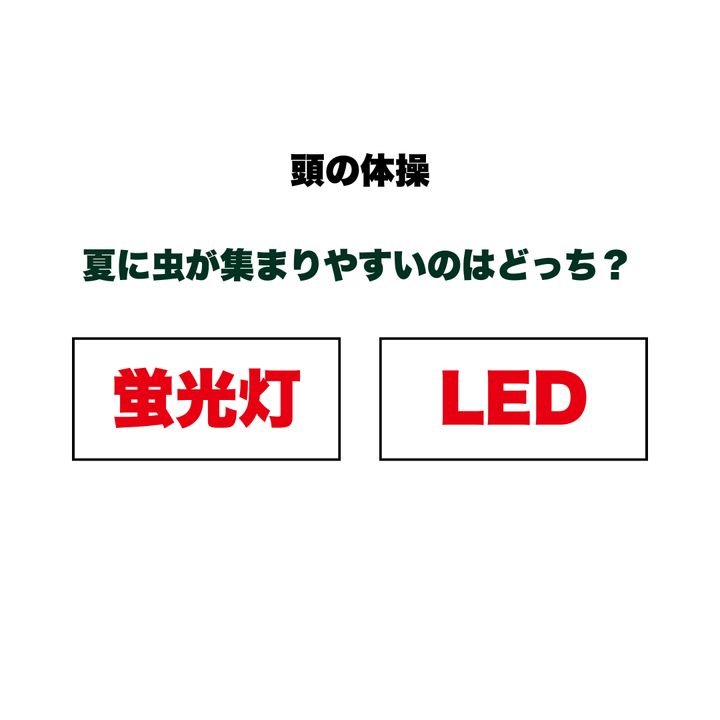 【頭の体操】夏に虫が集まりやすいのは「蛍光灯」と「LED」のどっち？正解の理由まで説明できるか挑戦！