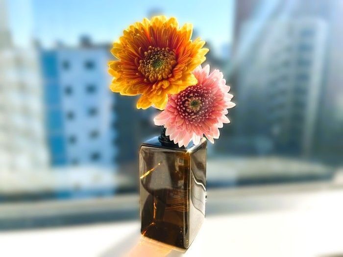 化粧品の空き容器が「おしゃれ収納」に大変身♡捨てちゃう前に、試してみて！