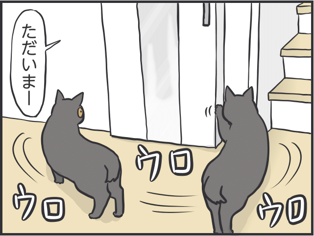 猫に甘えてもらえない私4.PNG
