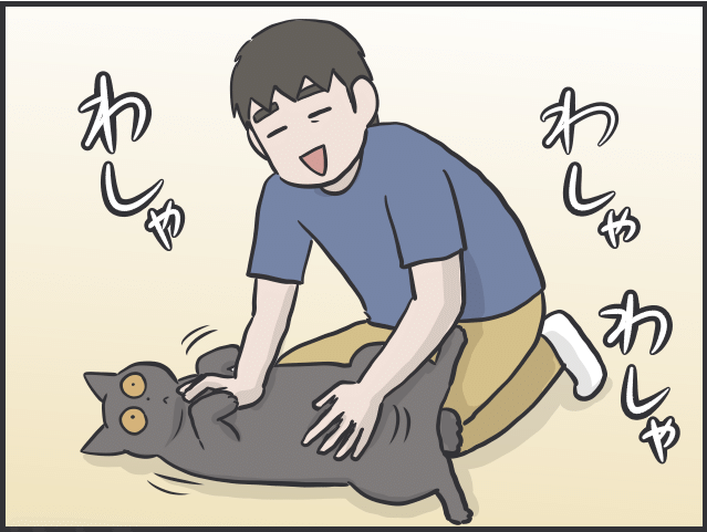 猫に甘えてもらえない私6.PNG