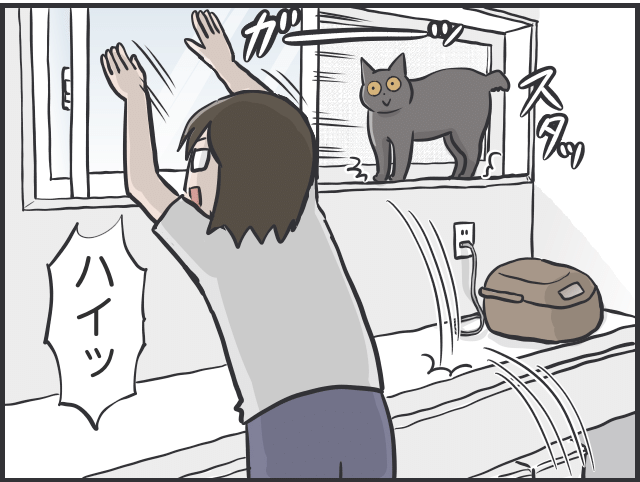 猫に甘えてもらえない私3.PNG