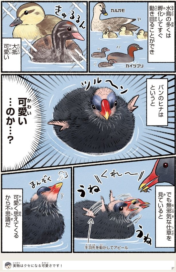 可愛く思えてくるから不思議だ （C）piro piro piccolo／KADOKAWA