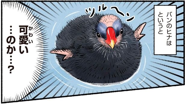 可愛い…のか…？ （C）piro piro piccolo／KADOKAWA