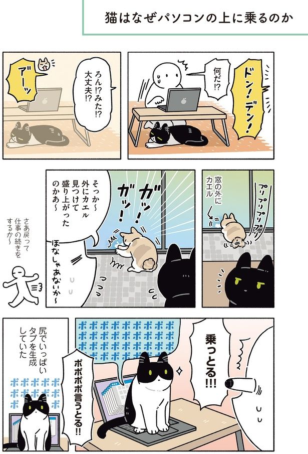 猫はなぜパソコンの上に乗るのか （C）AKR／KADOKAWA