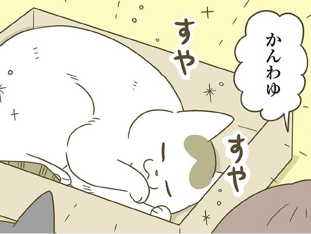 かんわゆ （C）卵山玉子／KADOKAWA