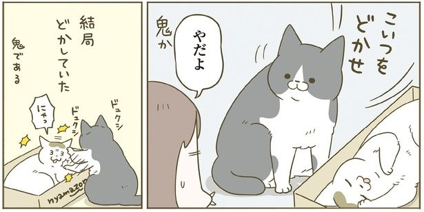 こいつをどかせ （C）卵山玉子／KADOKAWA