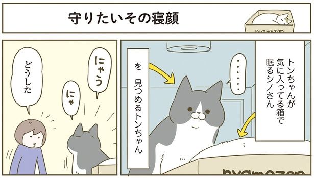 どうした （C）卵山玉子／KADOKAWA