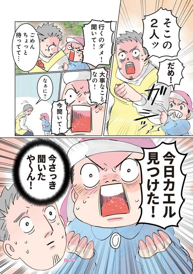 今日カエル見つけた！ （C）でこぽん吾郎／KADOKAWA