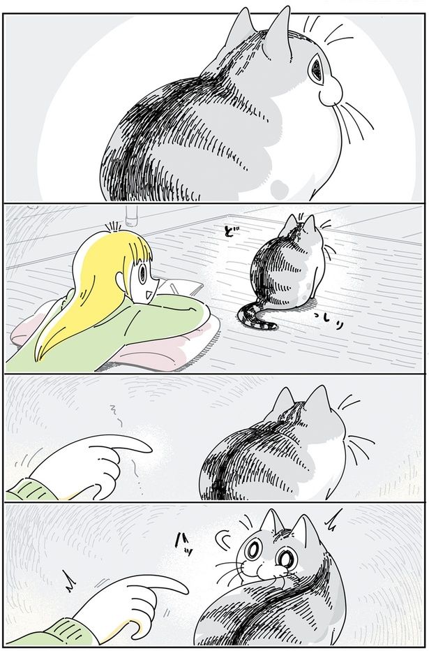 ネコの気配察知 （C）キュルZ／KADOKAWA