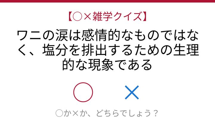 【○×雑学クイズ】これ本当？ワニの涙の秘密の問題画像