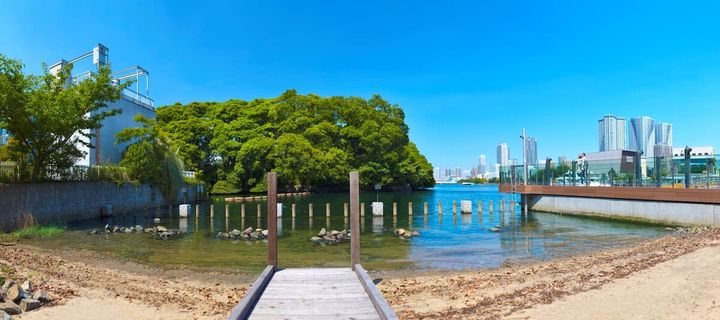 メズム東京、オートグラフ コレクション「五感でふれる、東京の海と干潟 ― 食とブルーシーフードから学ぶ、東京湾のいま ―」