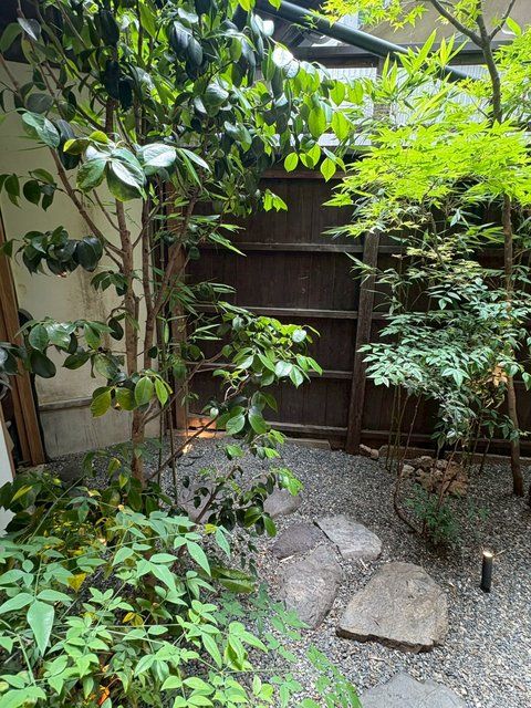 藤花 (311419)