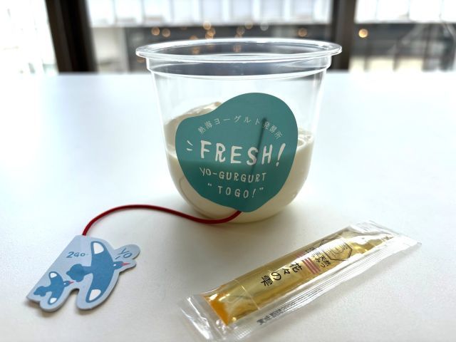 フレッシュよーグルグルトのカップと国産はちみつ