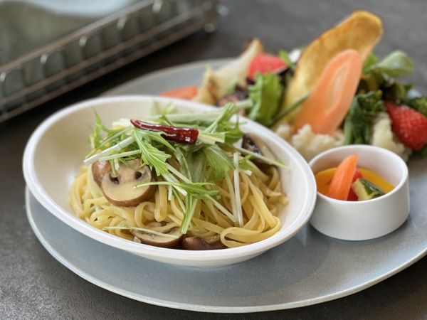 表参道の新たなサステナブルカフェ「BafunYasai TCC CAFE」