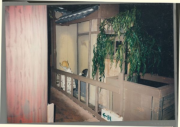 【京都府京都市】令和の比叡山お化け屋敷、大丸京都店で今夏も開催！新たなお化けたちが目を覚ます