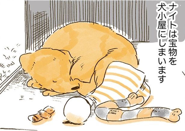 ナイトは宝物を犬小屋にしまいます （C）佐倉イサミ／KADOKAWA