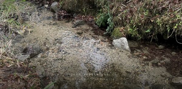【山梨県北杜市】住所非公開の招待制プライベートサウナ「湧火」誕生。半径500m無人の地で自然と向き合う