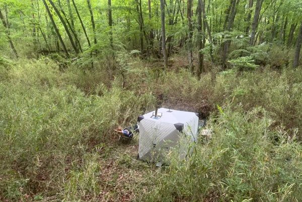 【山梨県北杜市】住所非公開の招待制プライベートサウナ「湧火」誕生。半径500m無人の地で自然と向き合う