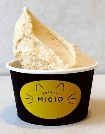 【神奈川県鎌倉市】ジェラートショップ「MICIO」オープン！フレーバーの一部に必ず神奈川産素材を使用