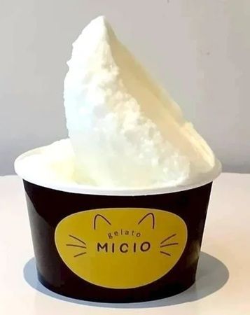 【神奈川県鎌倉市】ジェラートショップ「MICIO」オープン！フレーバーの一部に必ず神奈川産素材を使用