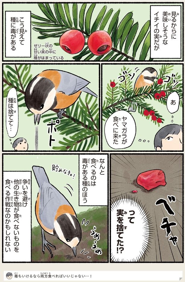 種は捨てて… （C）piro piro piccolo／KADOKAWA