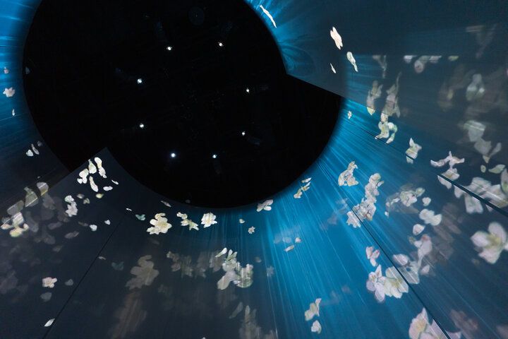 東京ドリームパークに誕生！圧倒的スケールで魅せる、本格デジタルアート施設「RÊVE DES LUMIÈRES」