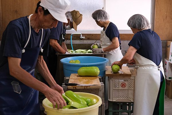 【福岡県築上町】予約4ヵ月待ち、奈良漬さろん安部の「うり浅漬」が仕込み開始。9月から順次出荷予定