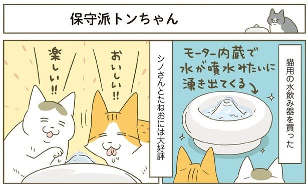 水飲み器を買った （C）卵山玉子／KADOKAWA