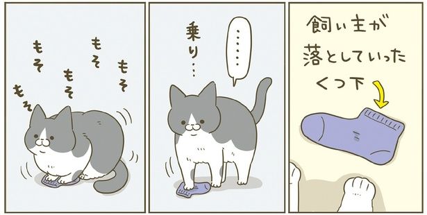 もそもそ （C）卵山玉子／KADOKAWA