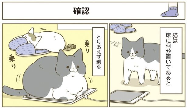 床に何か置いてあるととりあえず乗る （C）卵山玉子／KADOKAWA