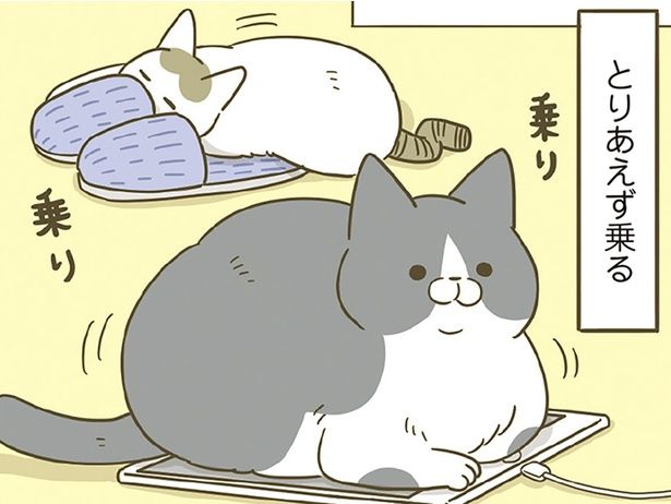 とりあえず乗る （C）卵山玉子／KADOKAWA