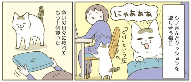 シノさんとクッションを取り合う毎日 （C）卵山玉子／KADOKAWA