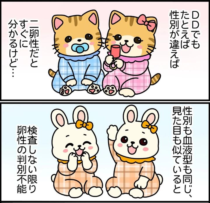 漫画「双子って3種類あんねん」のカット（メェメェさんさん提供）