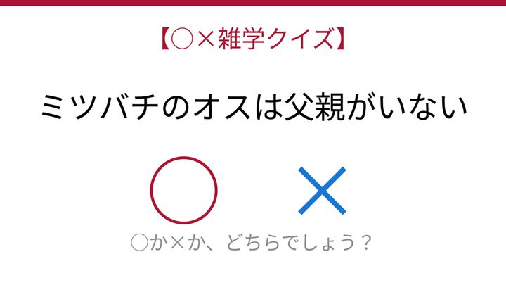 【○×雑学クイズ】これ本当？驚きの昆虫の生殖戦略の問題画像