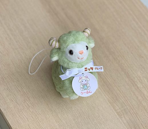 【京都府京都市】夏を快適にするウールを「NIKKE 1896」が販売。関西でポップアップストアを開催！
