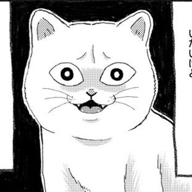 第1話 猫いないからの猫いる 画像提供：「描描猫猫 猫アレルギーだけど猫飼いたすぎ物語」(C)猫飼太陽