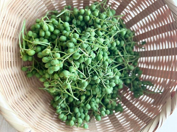 山椒の実