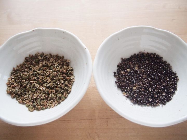 粉山椒の作り方