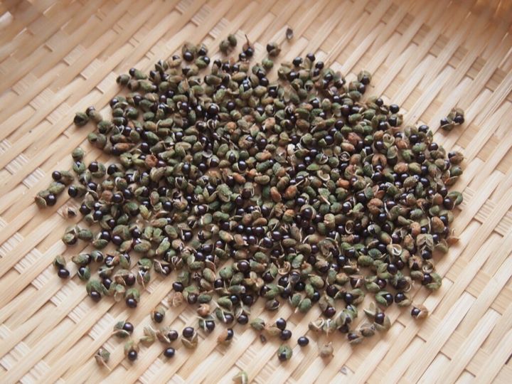 粉山椒の作り方