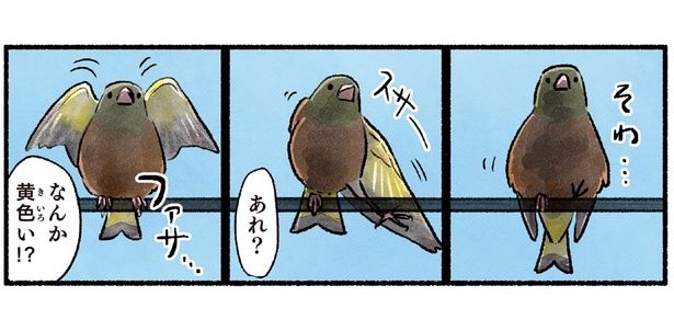あれ？なんか黄色い！？ （C）piro piro piccolo／KADOKAWA