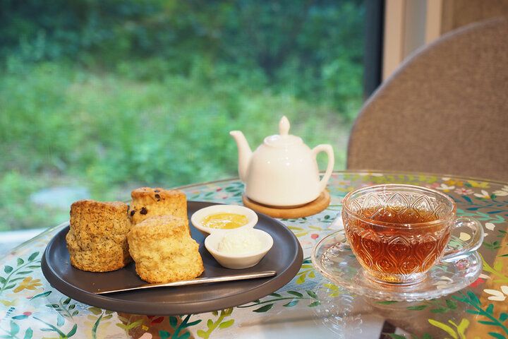 焼きたてスコーン＆紅茶が食べ飲み放題♪ 森の中にいるような紅茶専門店・自由が丘「YOTSUBA TEA」でのんびり時間