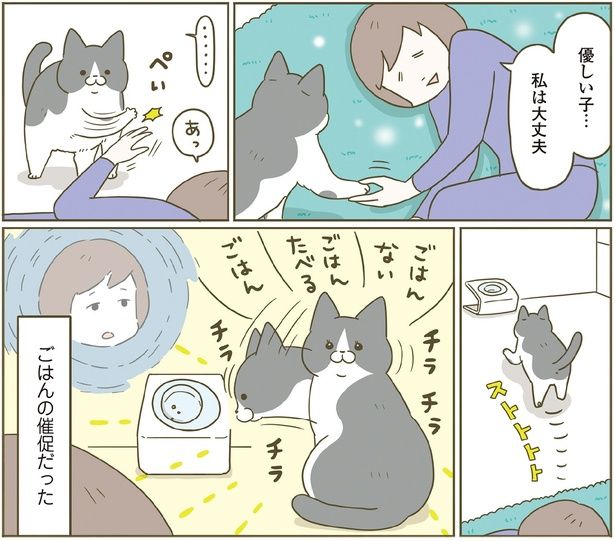 ごはんの催促だった （C）卵山玉子／KADOKAWA
